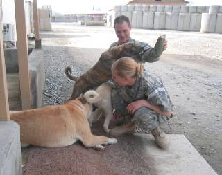Some medics playing with the "locals" at FOB Orgun-E