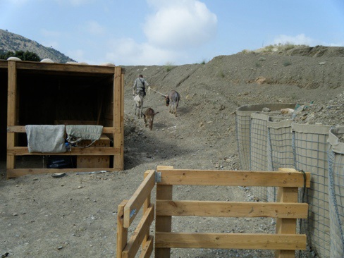 Sgt. Siebeda getting the donkeys ready to take supplies up the hill at COP Tillman.